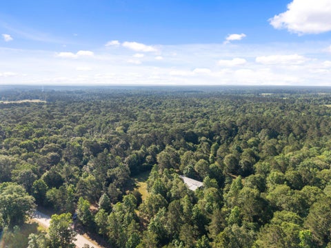 Photo of 200 Spring Ridge Road, Coldspring, TX 77331 (MLS # 27406473)