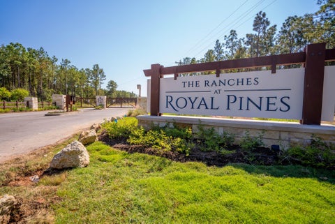 Photo of 0 Queen Anne, Huntsville, TX 77340 (MLS # 36490442)