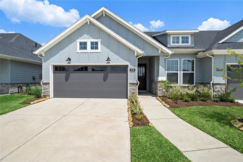 Photo of 1718 Forest Mist Drive, Houston, TX 77459 (MLS # 78078101)