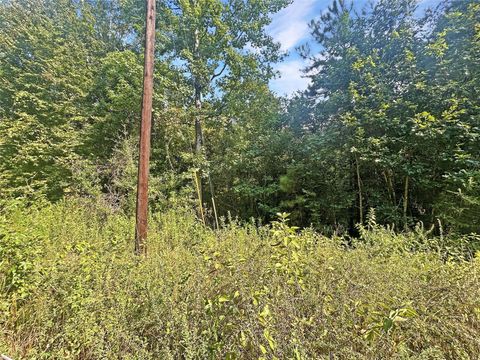 Vacant Land For Sale - 360 Private Road 6152<br/> Tyler County, Woodville, TX 75979