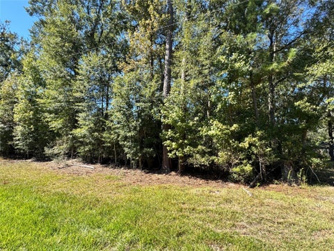 Photo of TBD Mehringer Road, Shepherd, TX 77371 (MLS # 14830376)