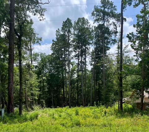 Photo of 10820 Royal York Drive, Conroe, TX 77303 (MLS # 20530152)