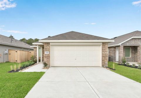 Photo of 17218 Black Ash Court, New Caney, TX 77357 (MLS # 86240880)