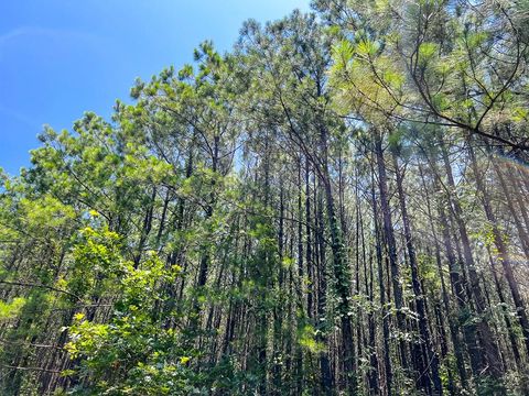 Vacant Land For Sale - 9 Bayou Road<br/> Sabine County, Milam, TX 75948