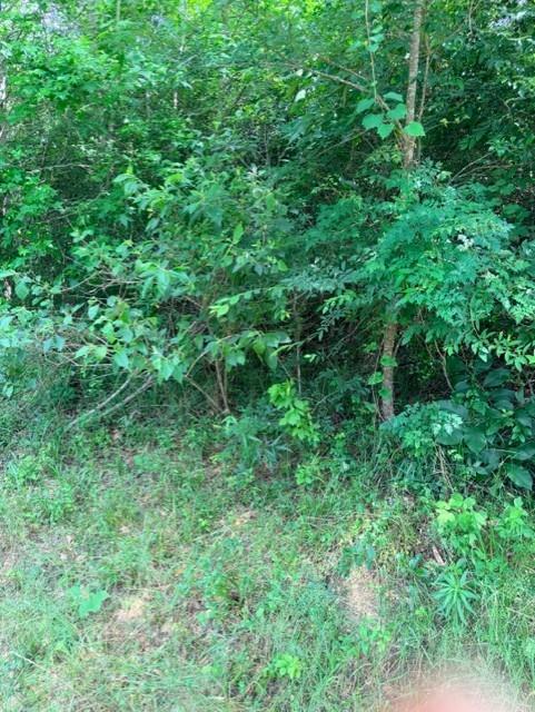14388 Baxter Road