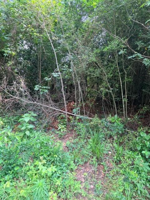 14388 Baxter Road
