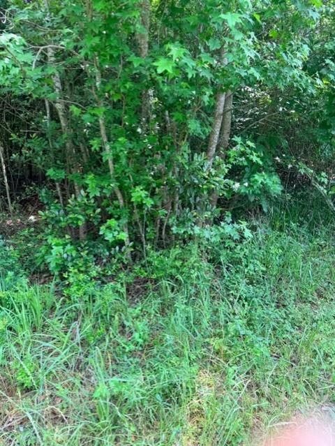 Photo of 14388 Baxter Road, Conroe, TX 77306 (MLS # 77330999)