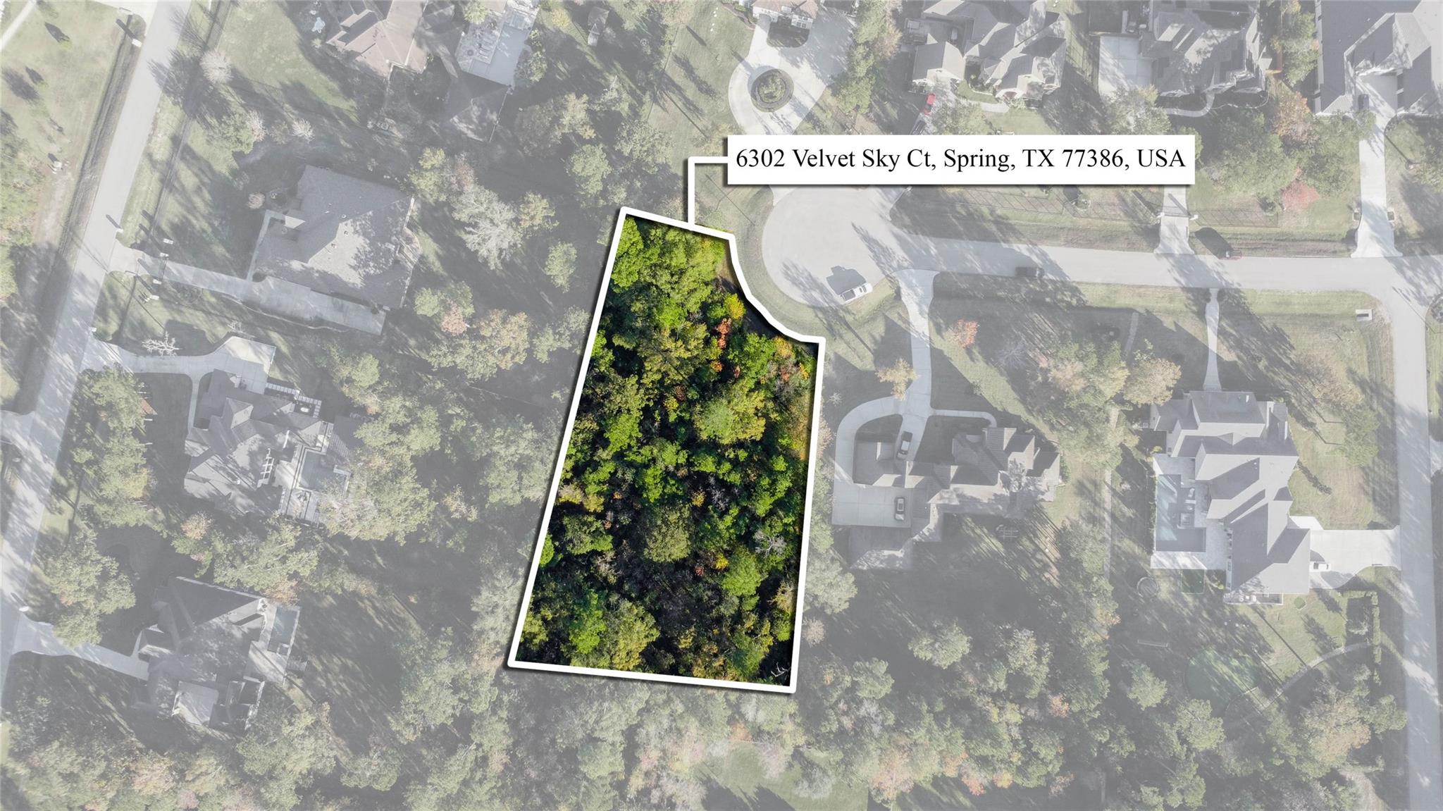 6302 Velvet Sky Court