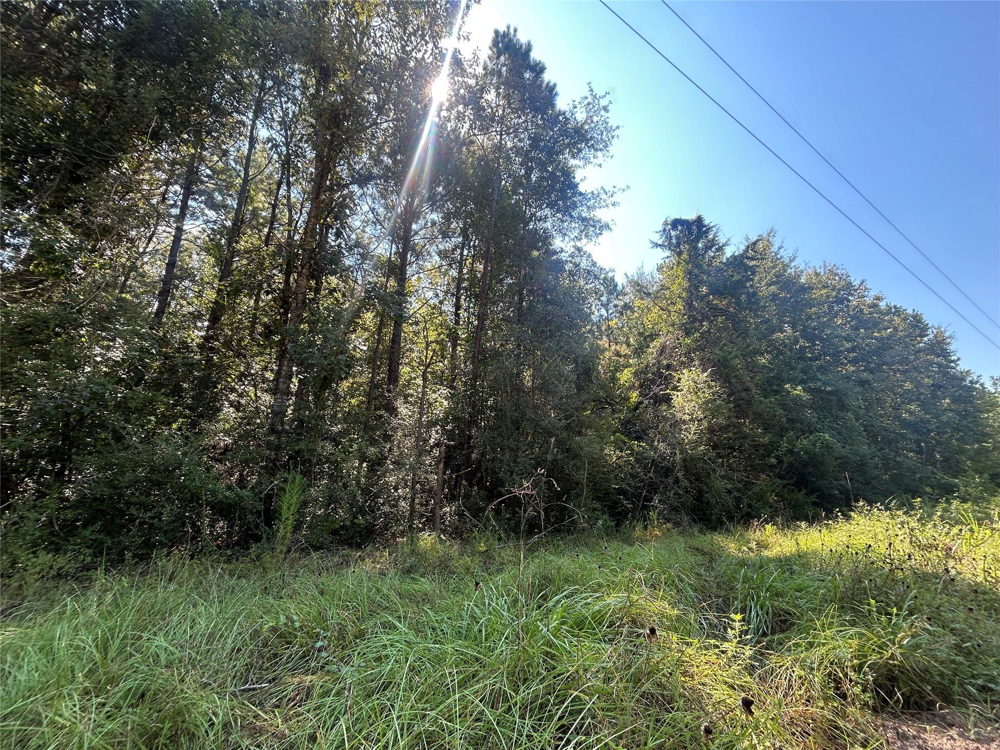 LOT 18 Piney Creek Subd