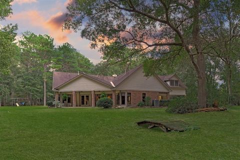 Photo of 20280 Old Sorters Road, Porter, TX 77365 (MLS # 51435070)