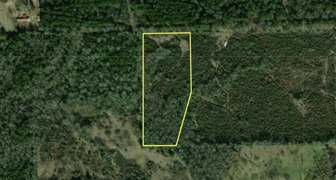 Vacant Land For Sale - 1500 Cr 4855<br/> Shelby County, Timpson, TX 75975