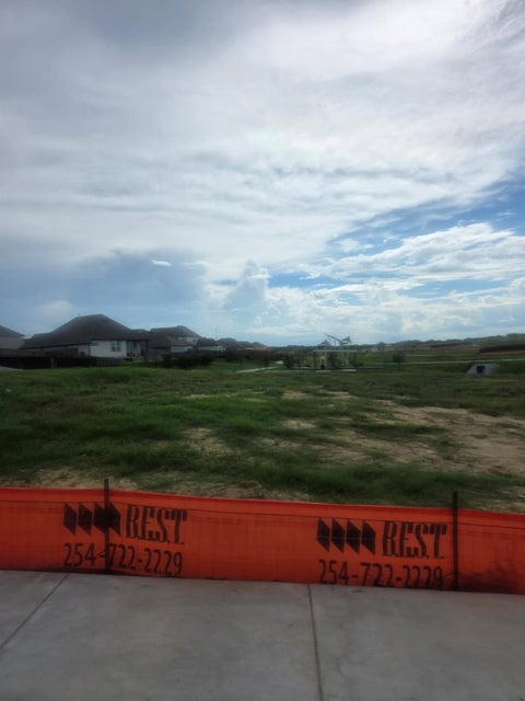 Photo of 1313 Boehnke Pass, Brenham, TX 77833 (MLS # 17299902)