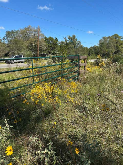Photo of 1520 Fm 160 Road N, Liberty, TX 77575 (MLS # 52662824)