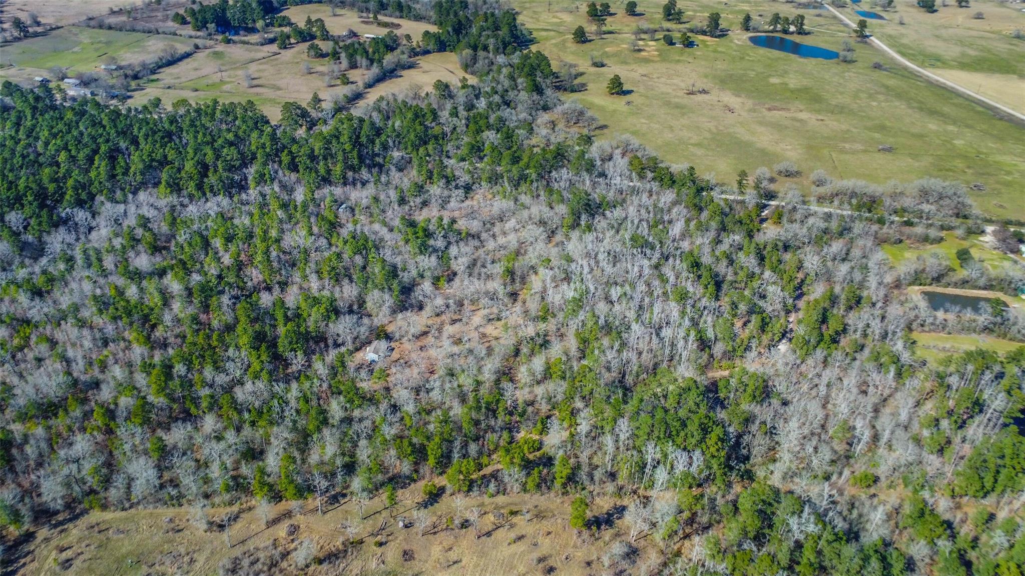 35 Old Sign Rd Fm 2989