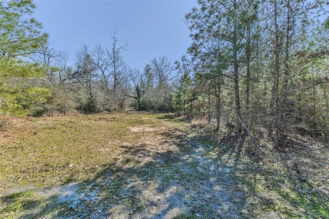 Tiny photo for 35 Old Sign Rd Fm 2989 RD, Midway, TX 75852 (MLS # 93266947)