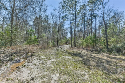 Tiny photo for 35 Old Sign Rd Fm 2989 RD, Midway, TX 75852 (MLS # 93266947)