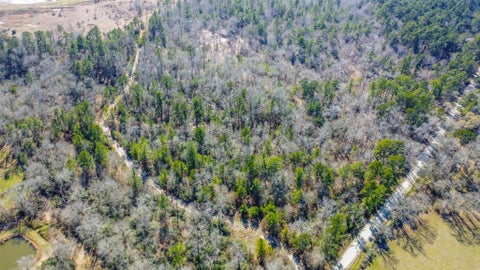 Tiny photo for 35 Old Sign Rd Fm 2989 RD, Midway, TX 75852 (MLS # 93266947)