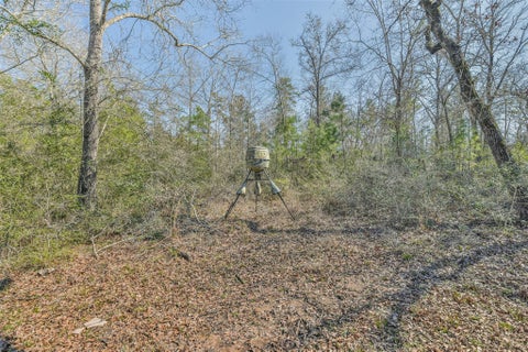 Tiny photo for 35 Old Sign Rd Fm 2989 RD, Midway, TX 75852 (MLS # 93266947)