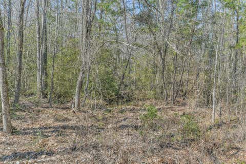 Tiny photo for 35 Old Sign Rd Fm 2989 RD, Midway, TX 75852 (MLS # 93266947)