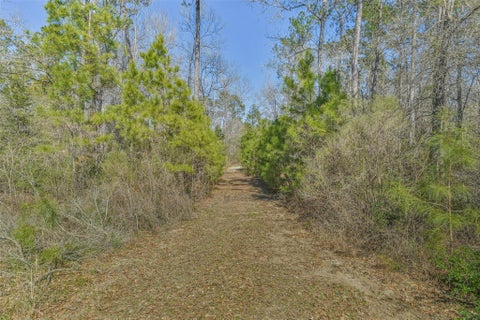 Tiny photo for 35 Old Sign Rd Fm 2989 RD, Midway, TX 75852 (MLS # 93266947)