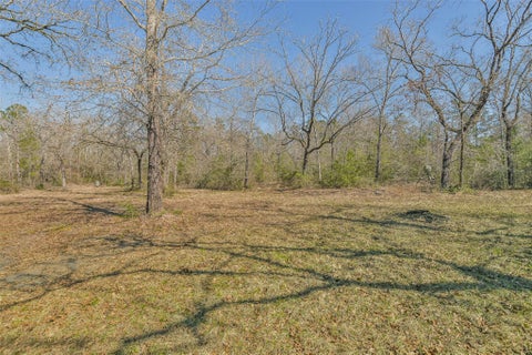 Tiny photo for 35 Old Sign Rd Fm 2989 RD, Midway, TX 75852 (MLS # 93266947)