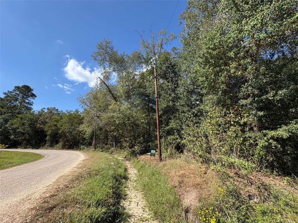Photo of 244 Mehringer Road, Shepherd, TX 77371 (MLS # 63058334)