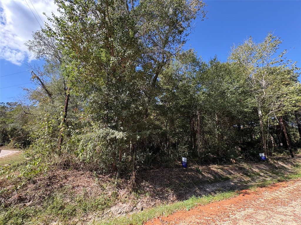Photo of 244 Mehringer Road, Shepherd, TX 77371 (MLS # 63058334)