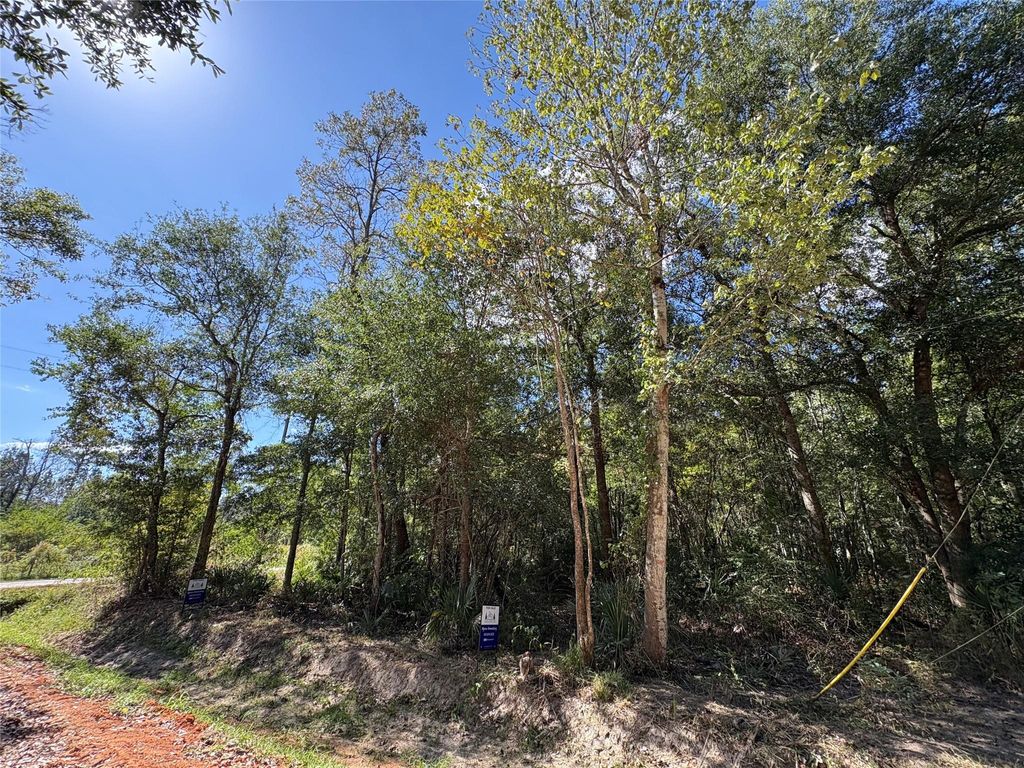 Photo of 244 Mehringer Road, Shepherd, TX 77371 (MLS # 63058334)