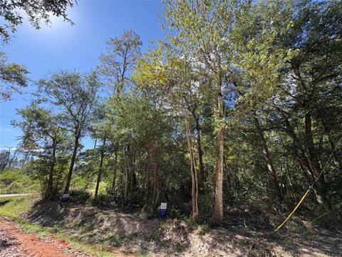 Photo of 244 Mehringer Road, Shepherd, TX 77371 (MLS # 63058334) Photo of 244 Mehringer Road, Shepherd, TX 77371 (MLS # 63058334)