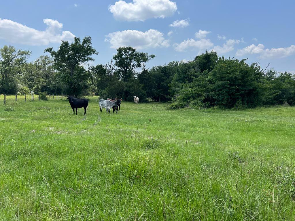 Tract #4 Fm 2562 Road