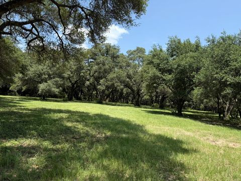 Vacant Land For Sale - TBD Rubin Lee Road<br/> Austin County, Cat Spring, TX 78933