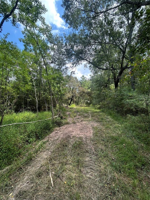 Photo of 11919 Hickory Wood ST, Pinehurst, TX 77362 (MLS # 29147202)