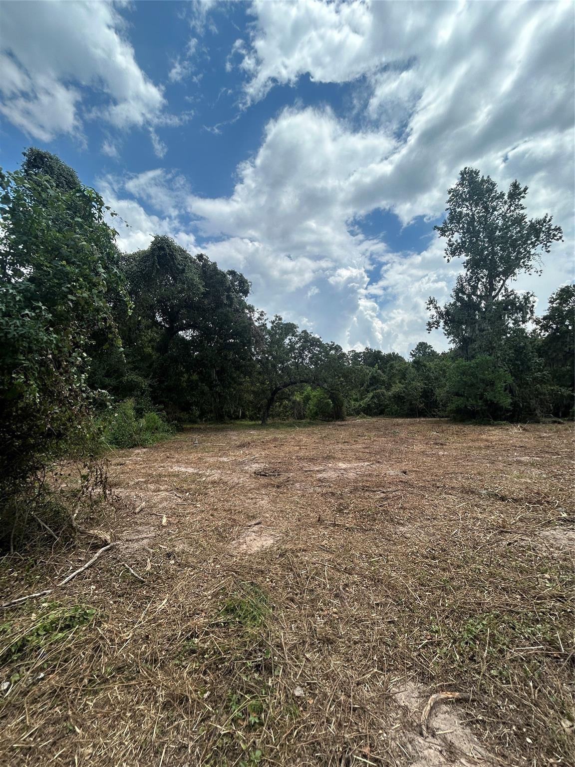 11919 Hickory Wood