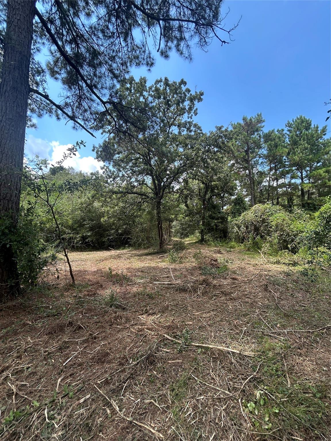 11919 Hickory Wood