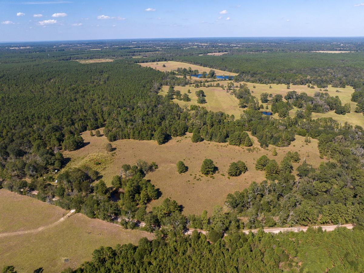 1 County Road 3575