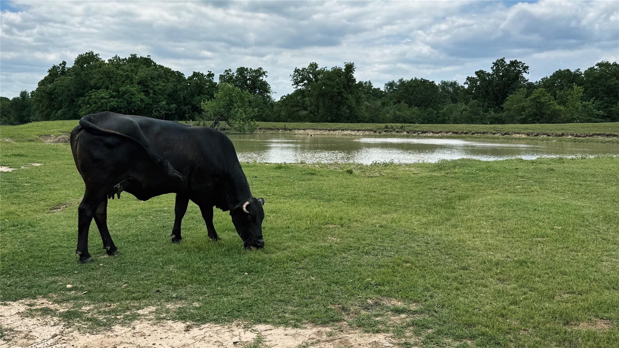 TBD County Road 317