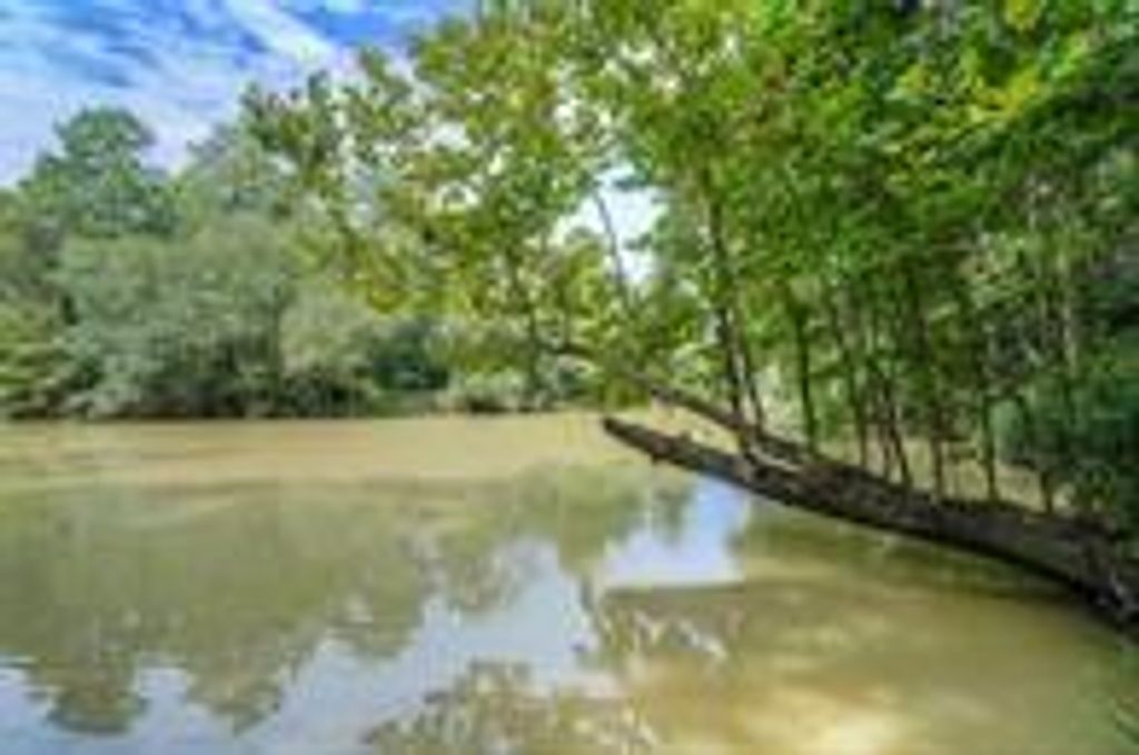 Photo of 24831 River Terrace Road, Huffman, TX 77336 (MLS # 46781834)