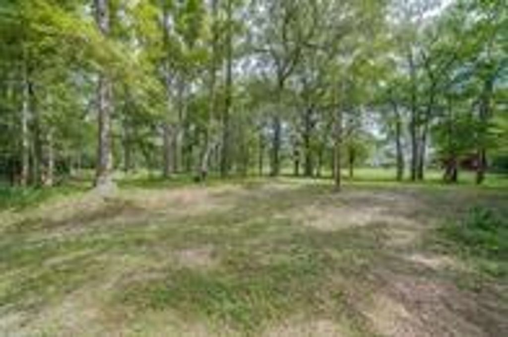 Photo of 24831 River Terrace Road, Huffman, TX 77336 (MLS # 46781834)