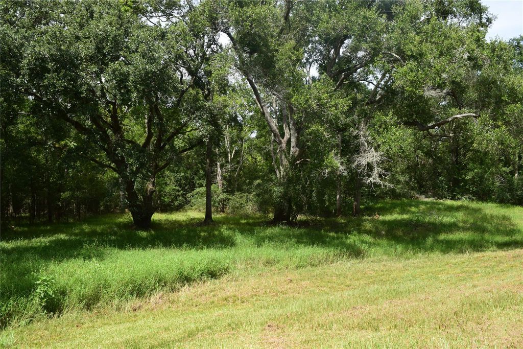Photo of 0 County Road 121, Rosharon, TX 77583 (MLS # 51682259)