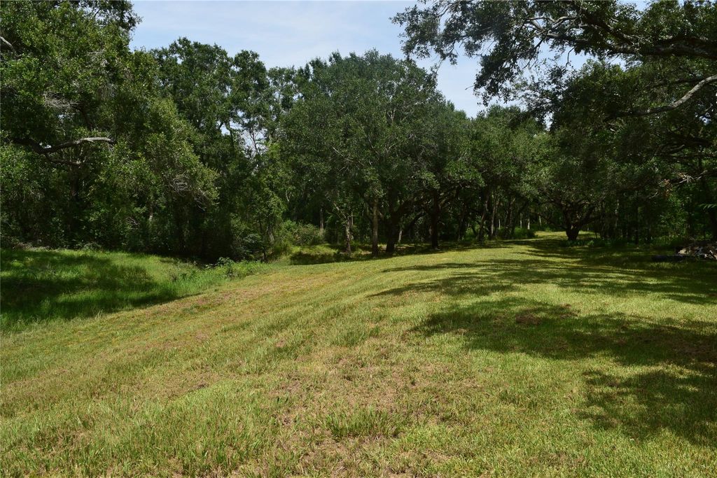 Photo of 0 County Road 121, Rosharon, TX 77583 (MLS # 51682259)