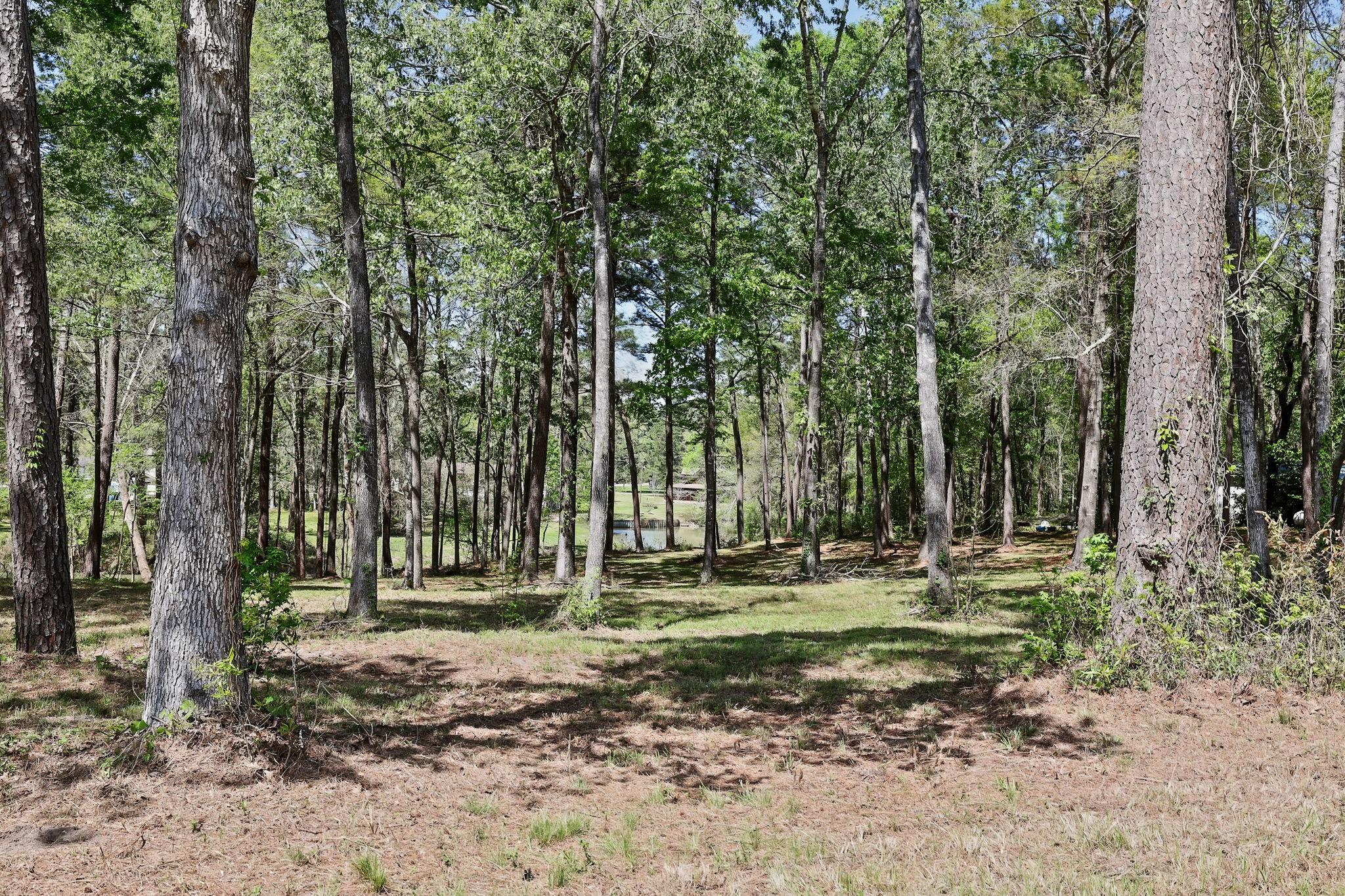 000 Harrell Cemetery Road