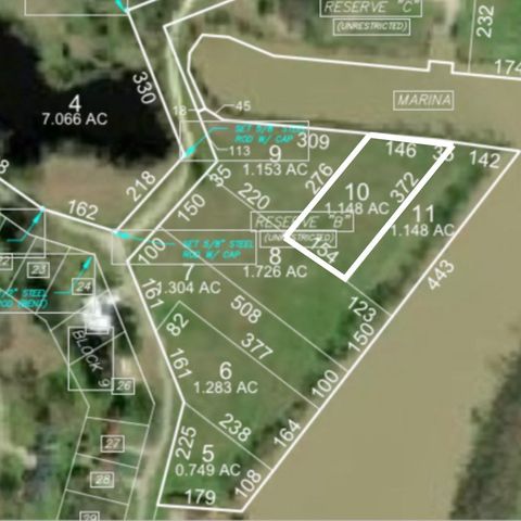 Lot 10 Lake Livingston Lane Trinity TX 75862