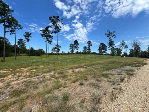 Photo of 123 Anna Grace, Livingston, TX 77351 (MLS # 77759505)