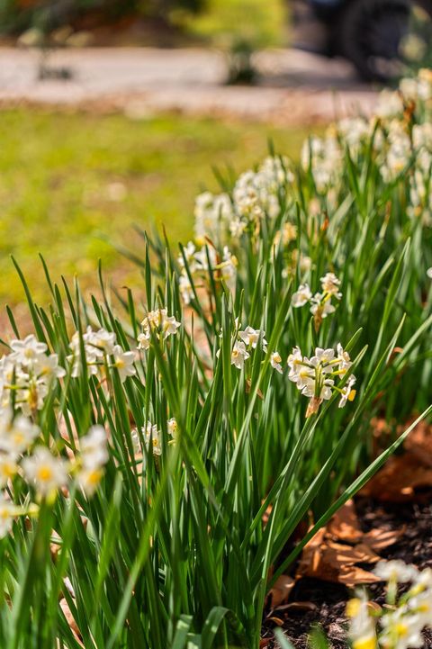 Tiny photo for 10042 Lazy Oaks Street, Houston, TX 77080 (MLS # 48046333)