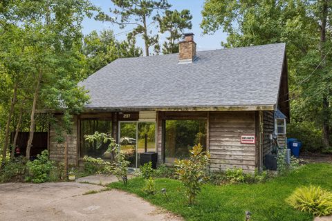 Photo of 237 Long Drive, Onalaska, TX 77360 (MLS # 96399062)