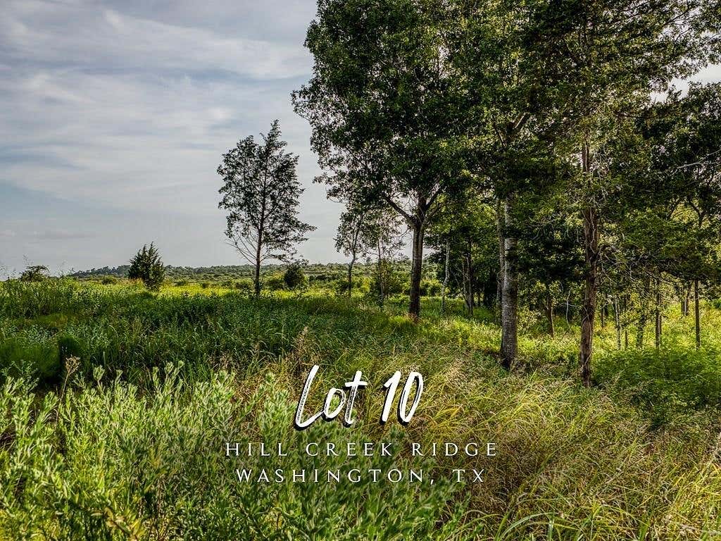 Photo of 10 Hargrove Lane, Washington, TX 77880 (MLS # 34231756)
