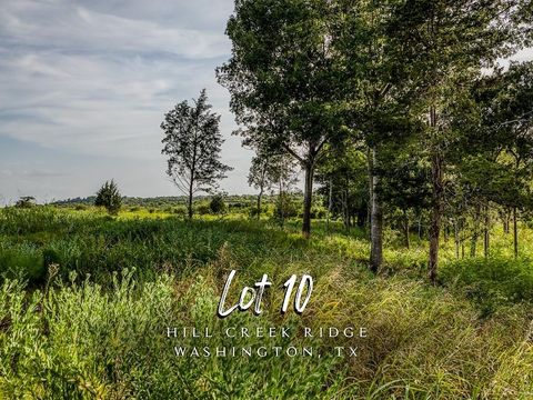 Photo of 10 Hargrove Lane, Washington, TX 77880 (MLS # 34231756)
