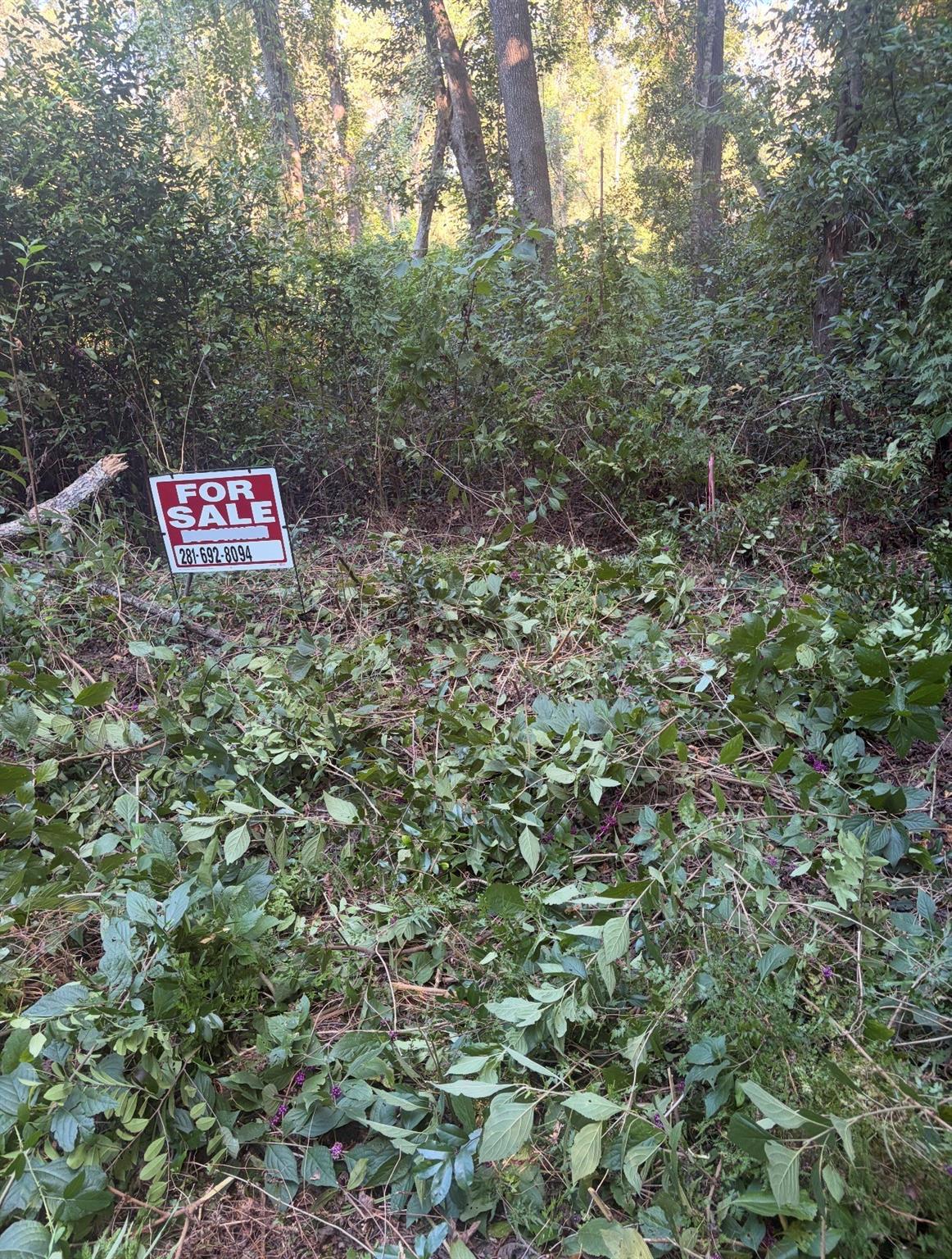 0 Cottonwood Place