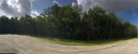 Vacant Land For Sale - Yandell Drive<br/> Fort Bend County, Richmond, TX 77469