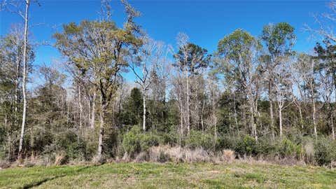 Vacant Land For Sale - TBD 8 & 9 Aggie Avenue<br/> Livingston, TX 77351
